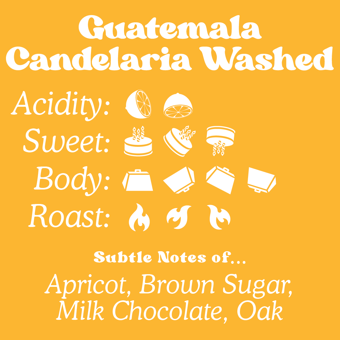 Guatemala - Candelaria Washed