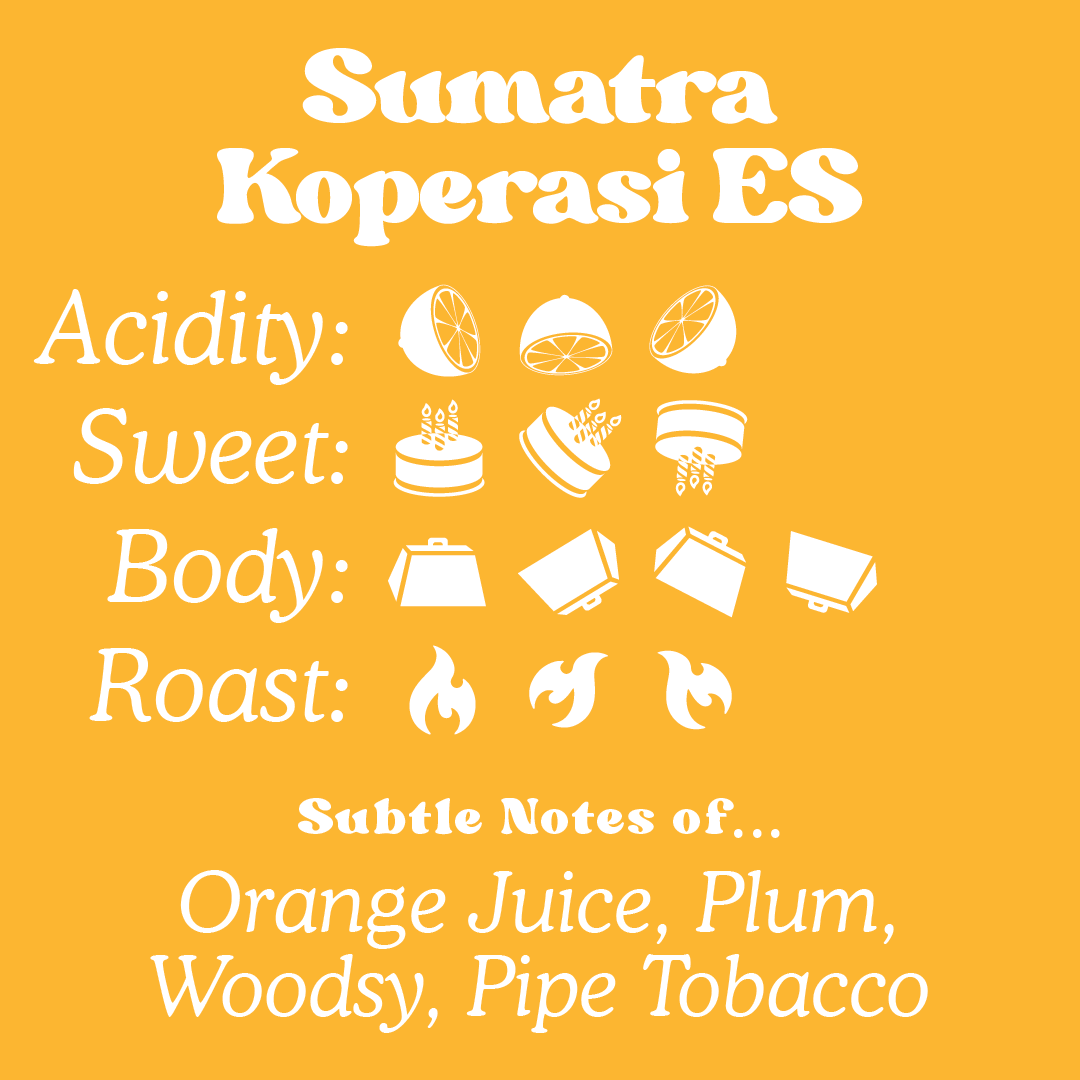 Sumatra - Koperasi ES - Organic