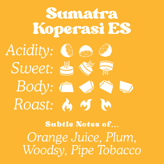 Sumatra - Koperasi ES - Organic