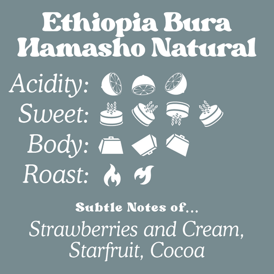 Ethiopia - Bura Hamasho Natural - Organic