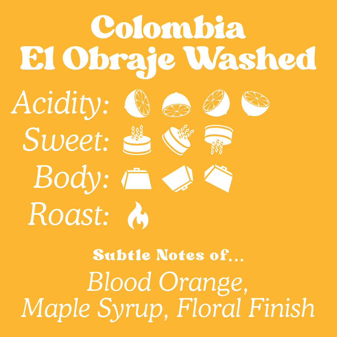 Colombia - El Obraje Washed