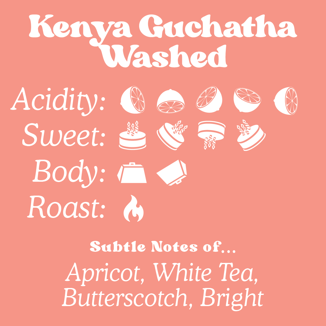 Kenya Guchatha Washed