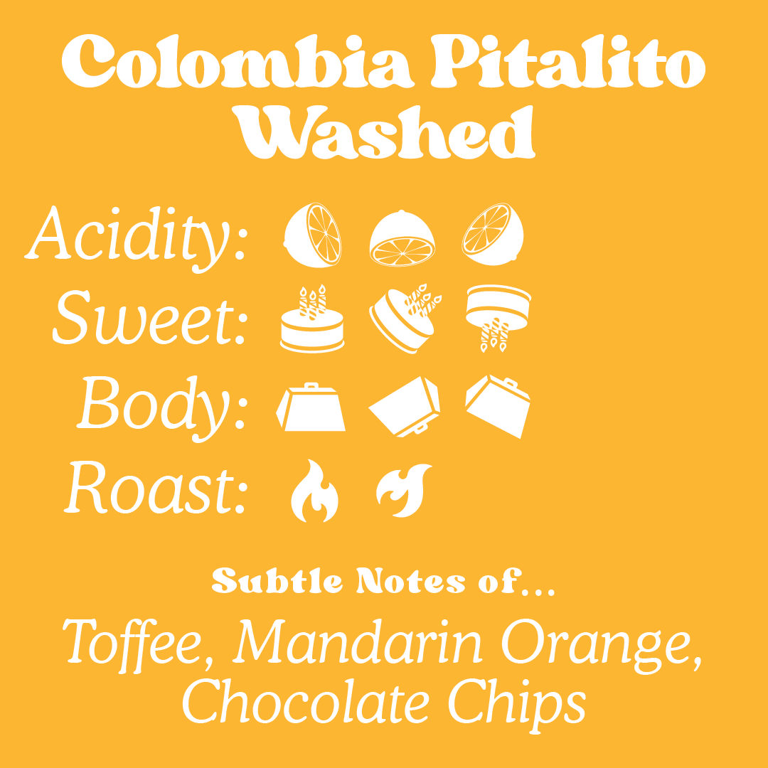 Colombia Pitalito Washed