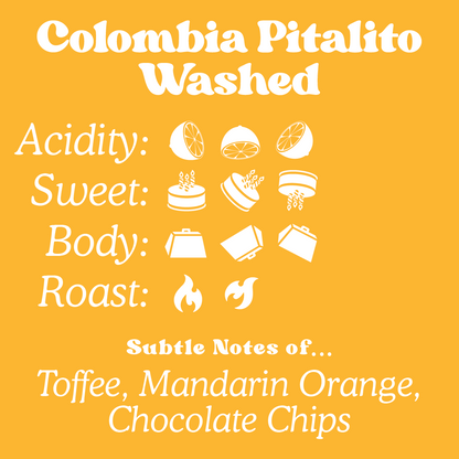 Colombia Pitalito Washed
