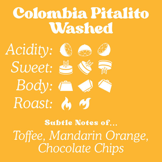 Colombia Pitalito Washed