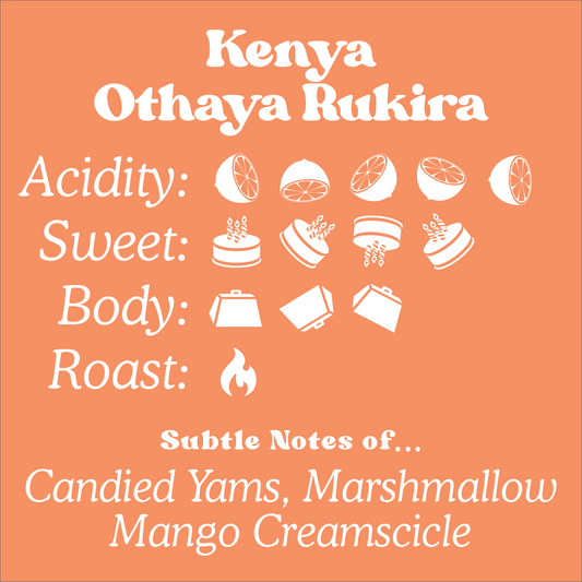 Kenya - Othaya Rukira Washed