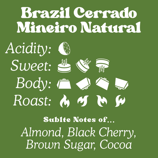 Brazil - Cerrado Mineiro Natural